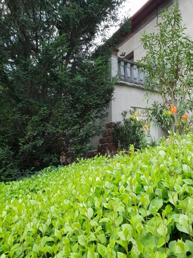 Kasza Villa Balatonfüred Eksteriør bilde
