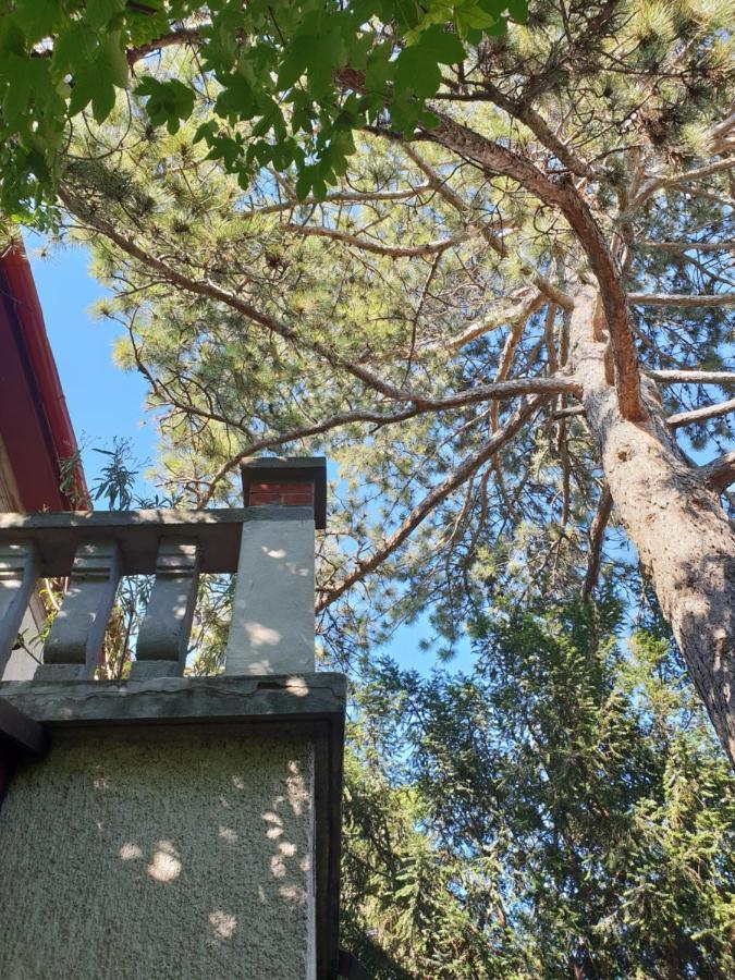 Kasza Villa Balatonfüred Eksteriør bilde