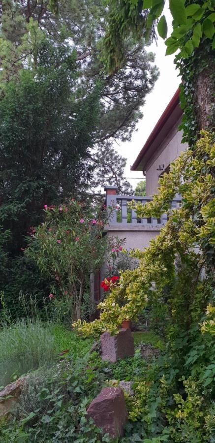 Kasza Villa Balatonfüred Eksteriør bilde