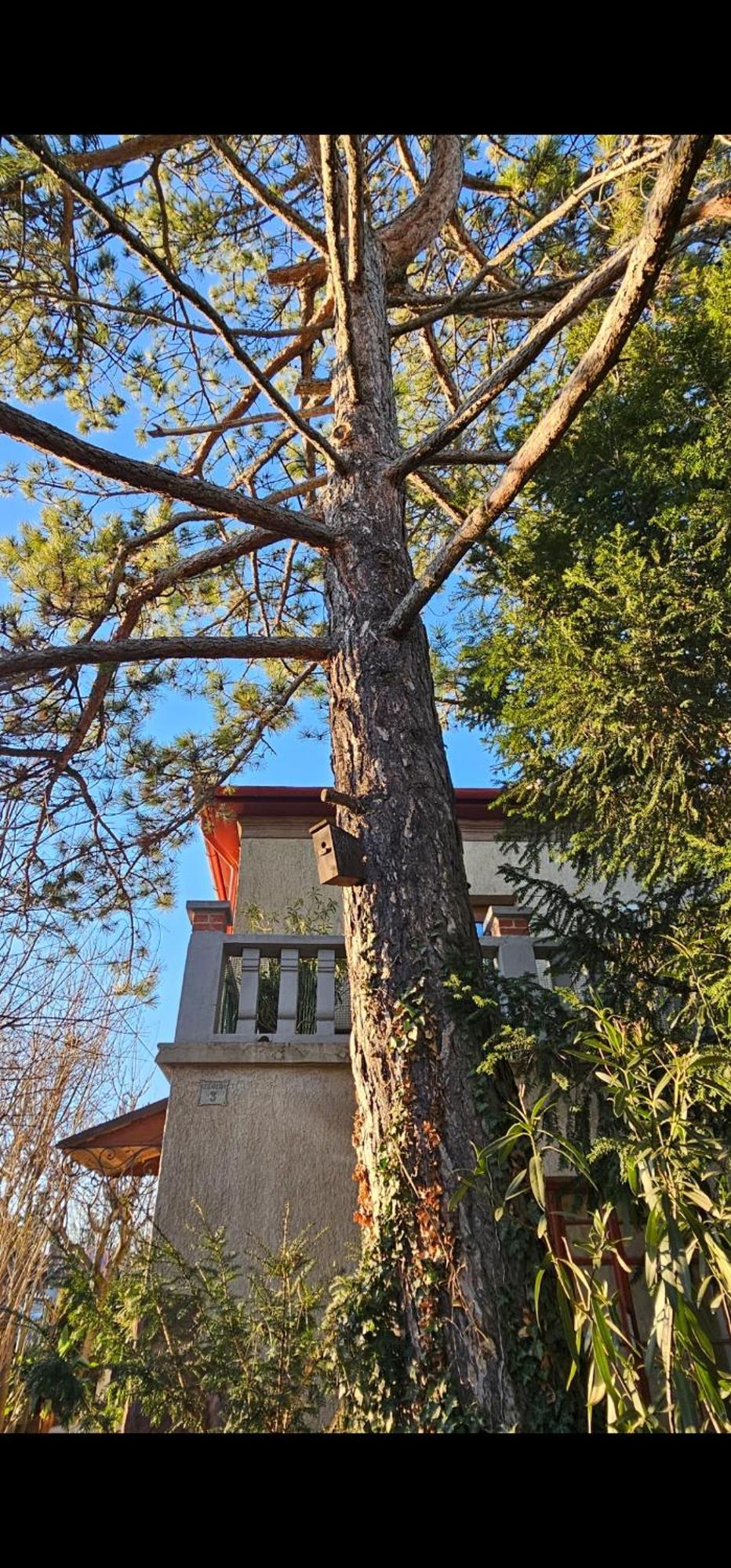 Kasza Villa Balatonfüred Eksteriør bilde